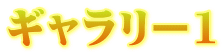 ギャラリー1