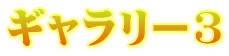 ギャラリー3