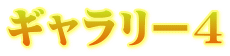 ギャラリー4