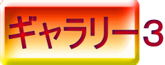 ギャラリー３