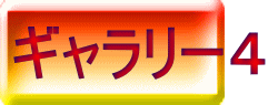 ギャラリー４