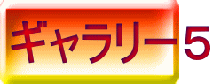 ギャラリー５